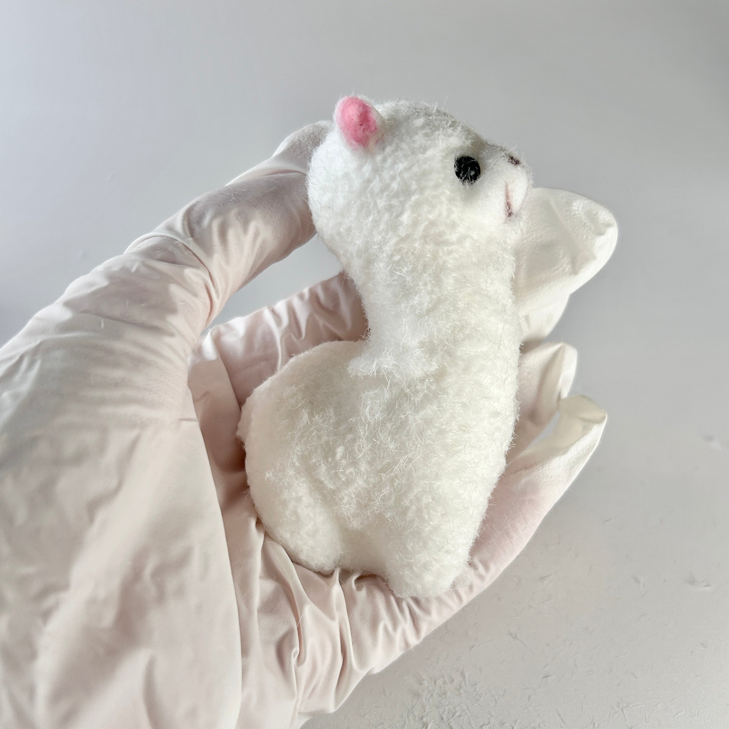 Alpaca Llama Lamb Squishy Toy