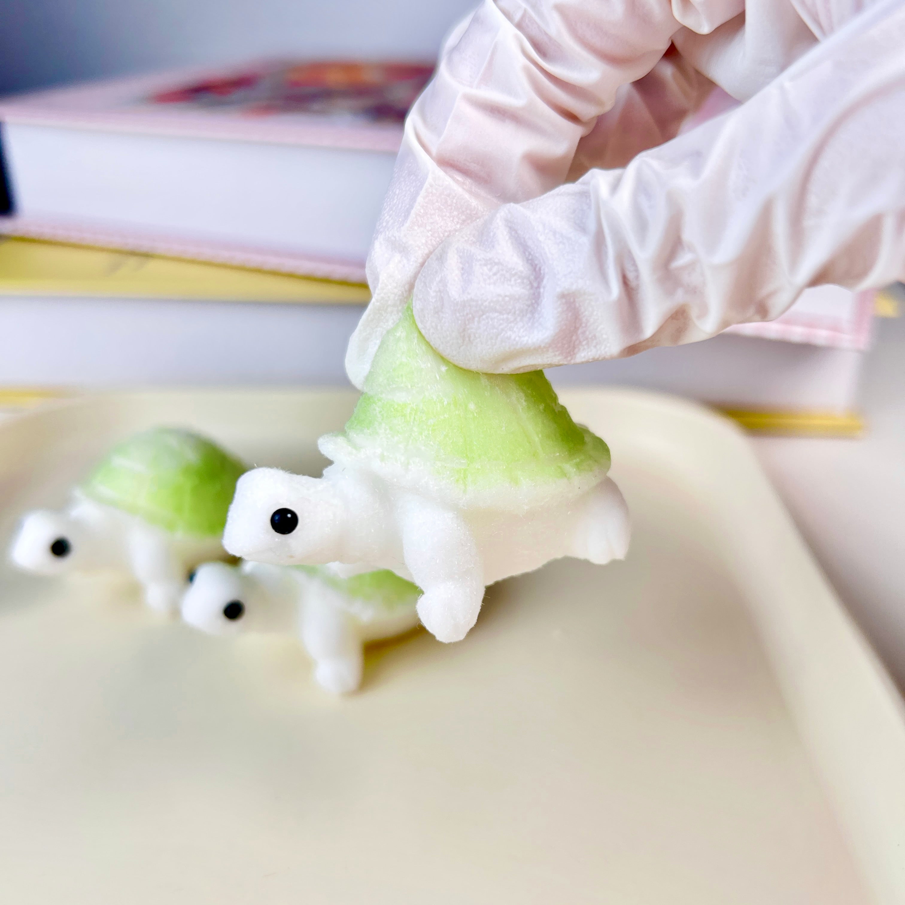 Mini Turtle Squishy Toy