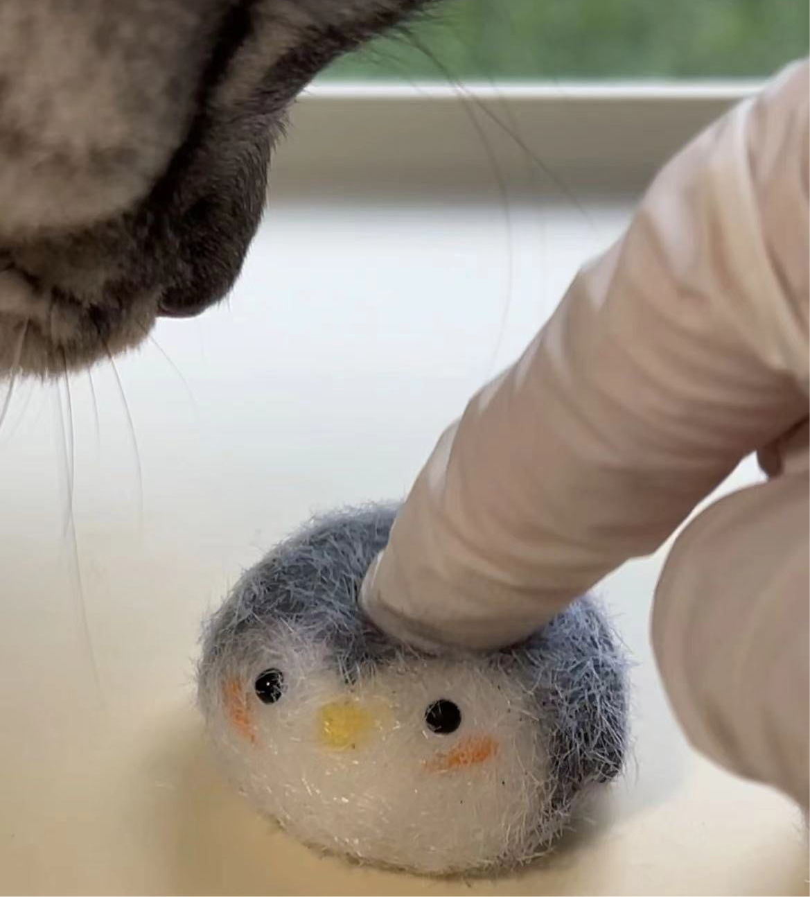 Baby Penguin Squishy Toy