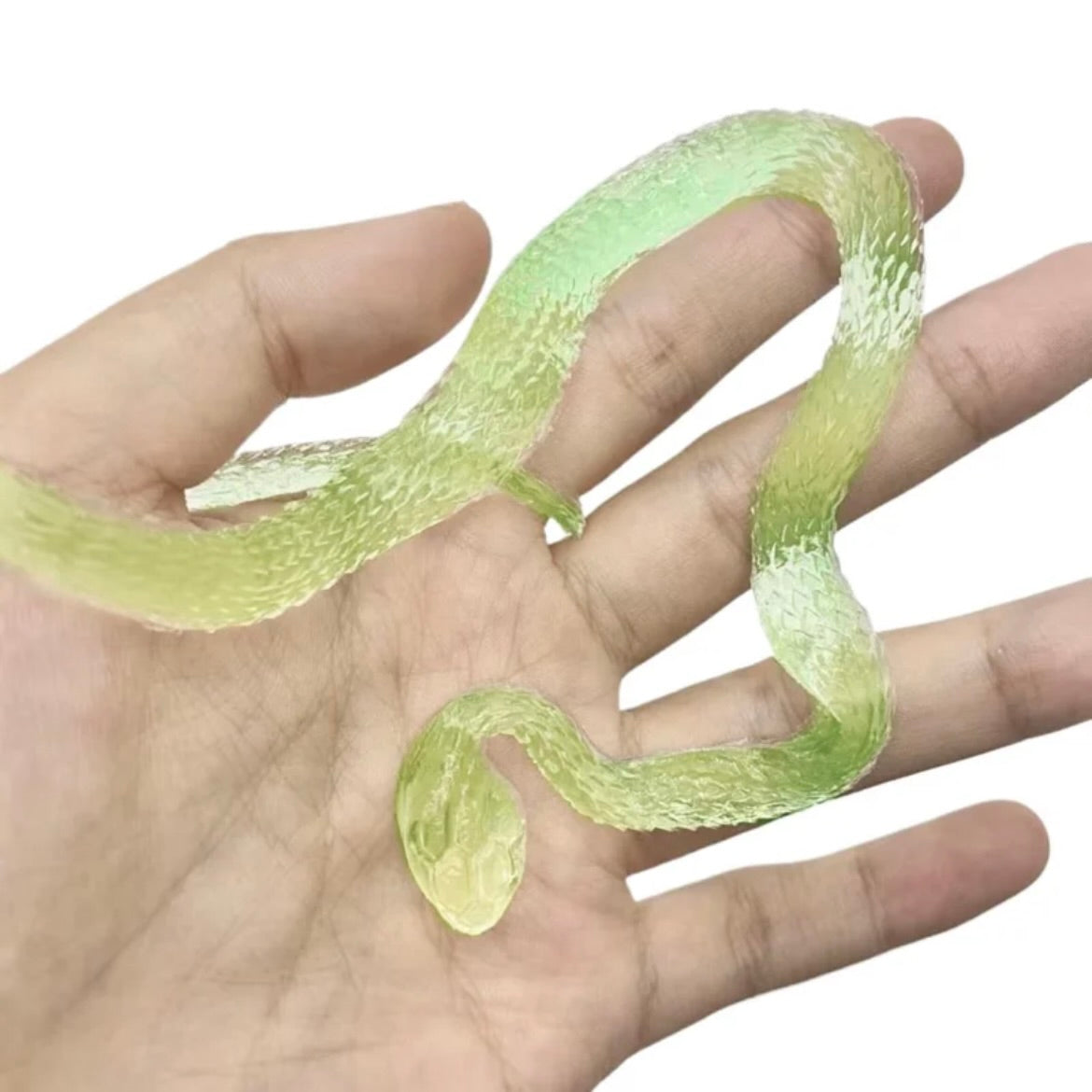 Transparent Snake Squishy Toy