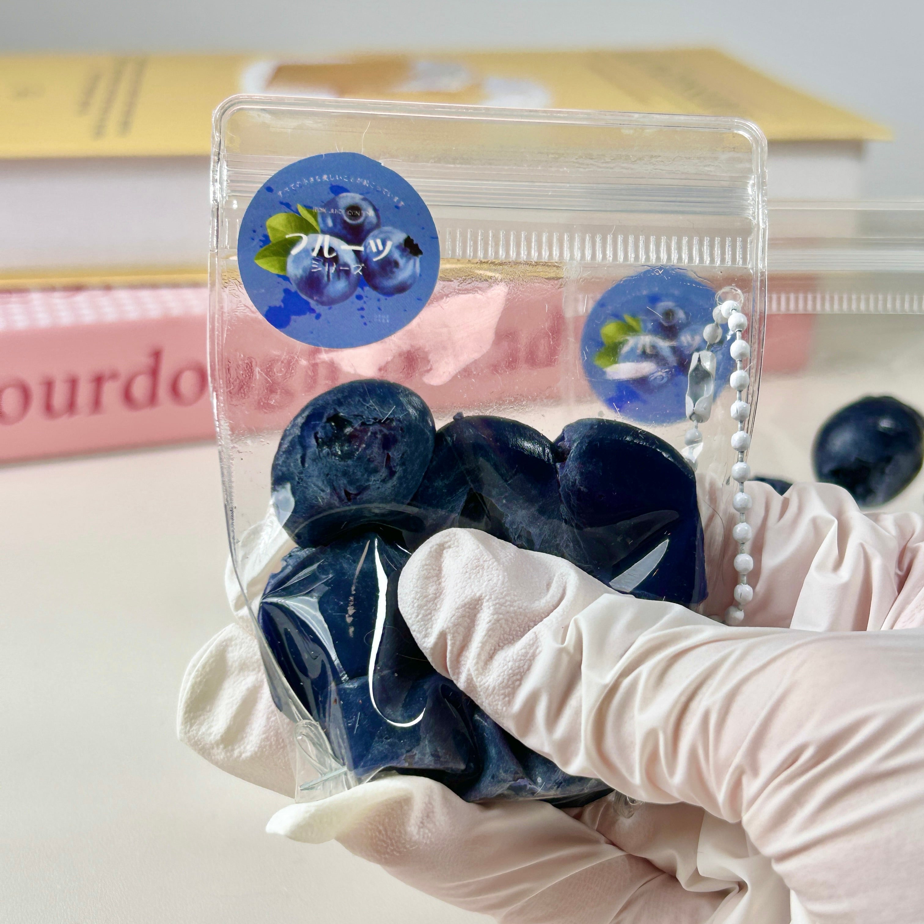 Blueberry Squishy Toy