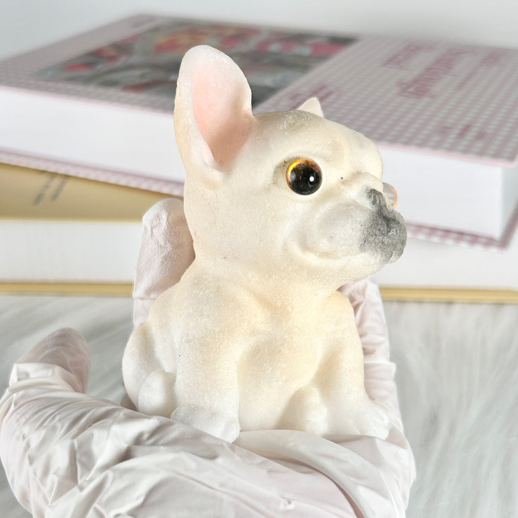 French Bulldog Puppy Squishy Toy