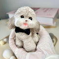 Black Bow Tie Teddy