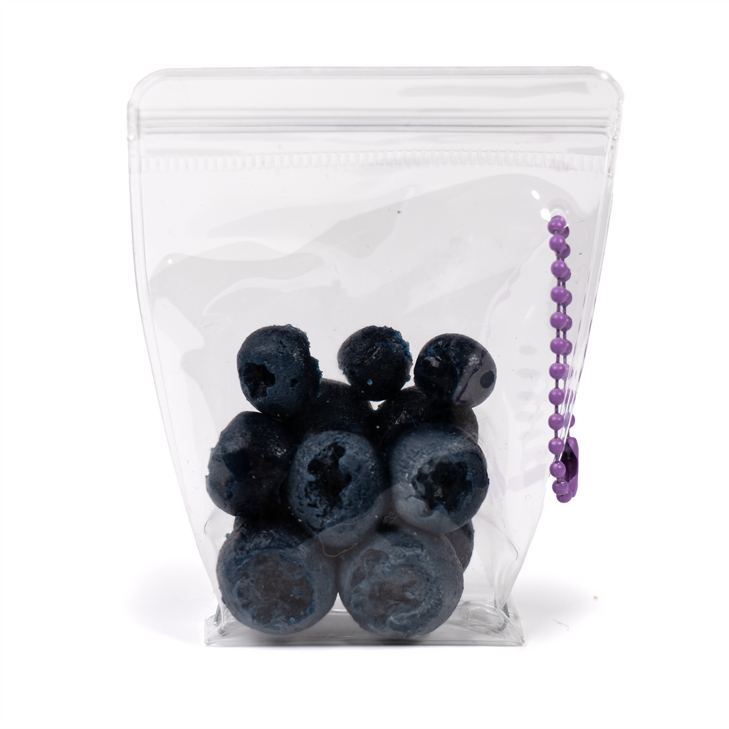 Blueberry Squishy Toy