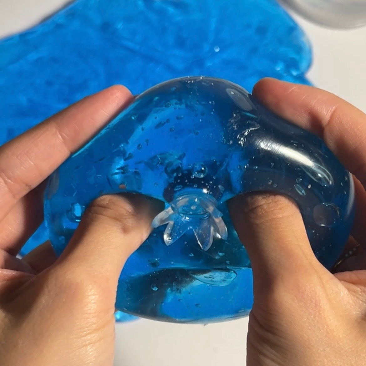 Crystal Clear Blueberry Squishy