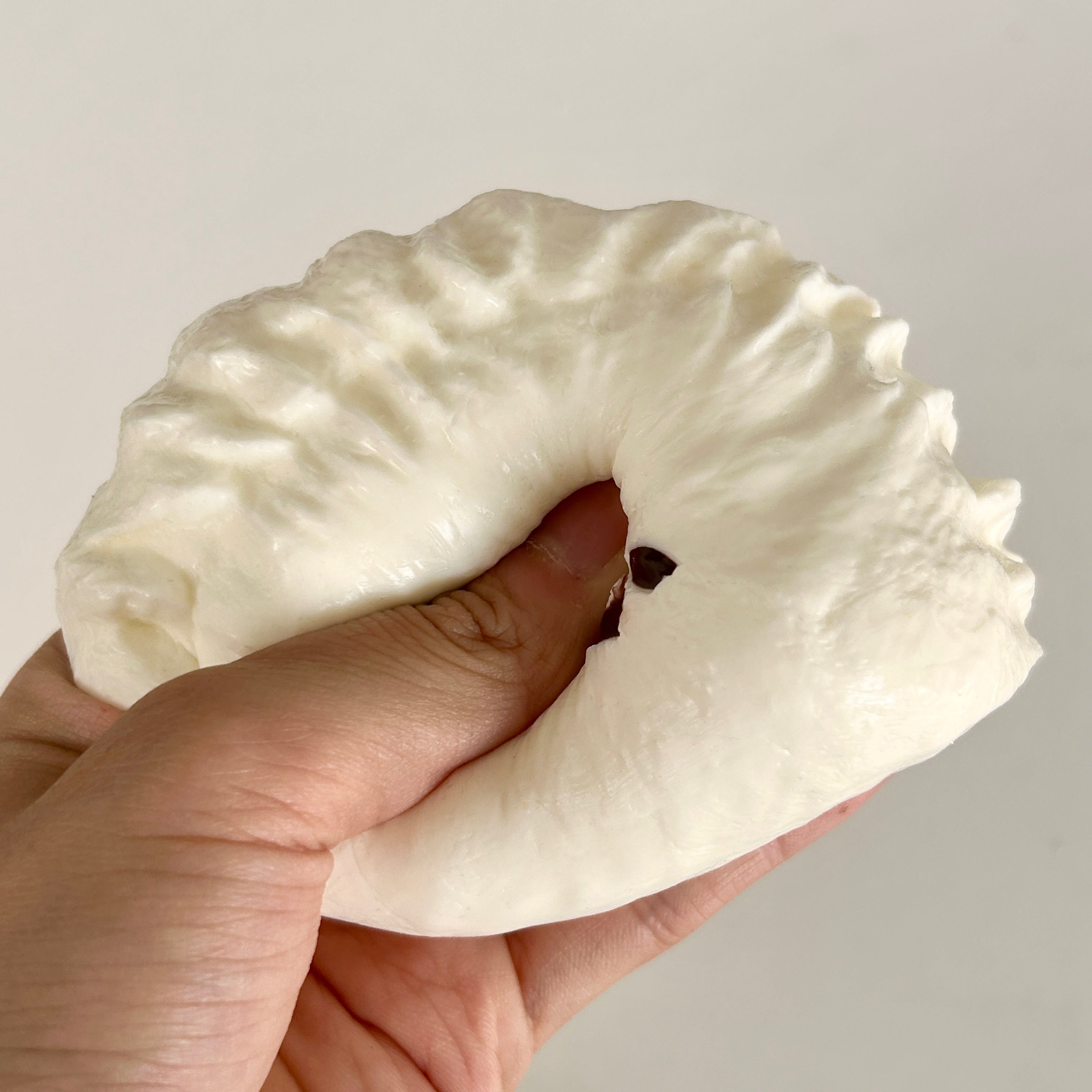 Dumpling Bear