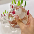 Clear Dragon Fruit