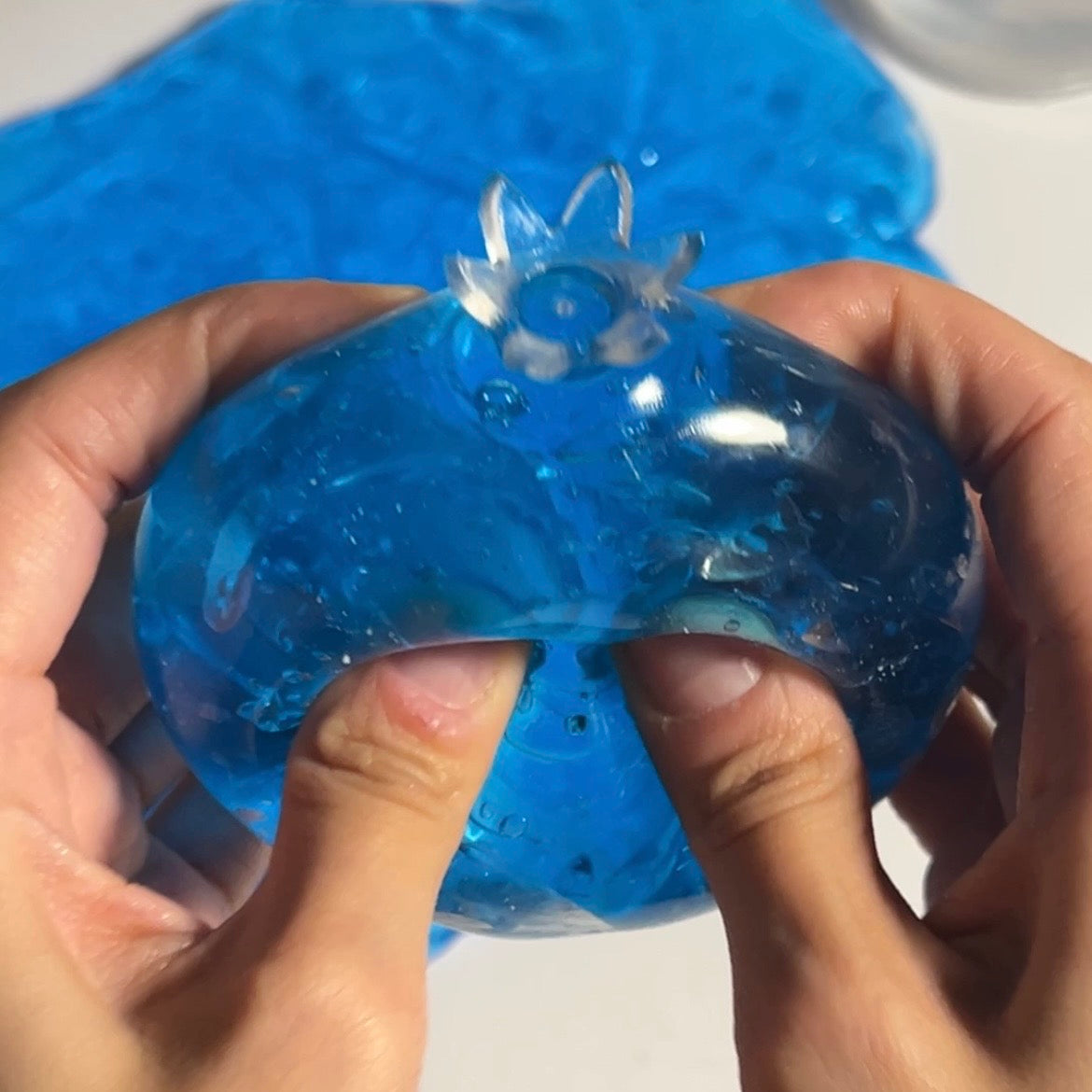 Crystal Clear Blueberry Squishy