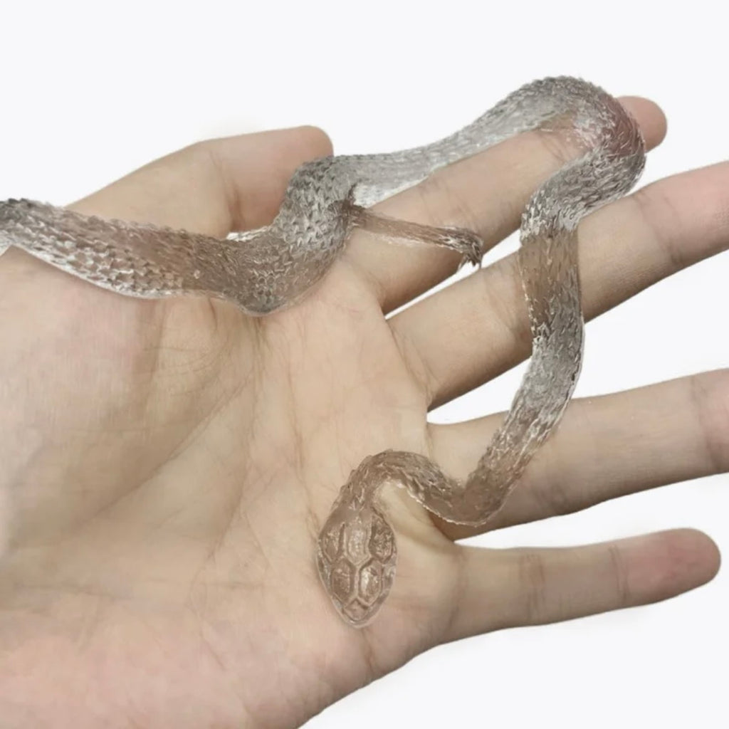 Transparent Snake Squishy Toy