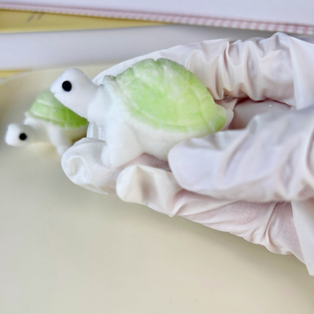 Mini Turtle Squishy Toy