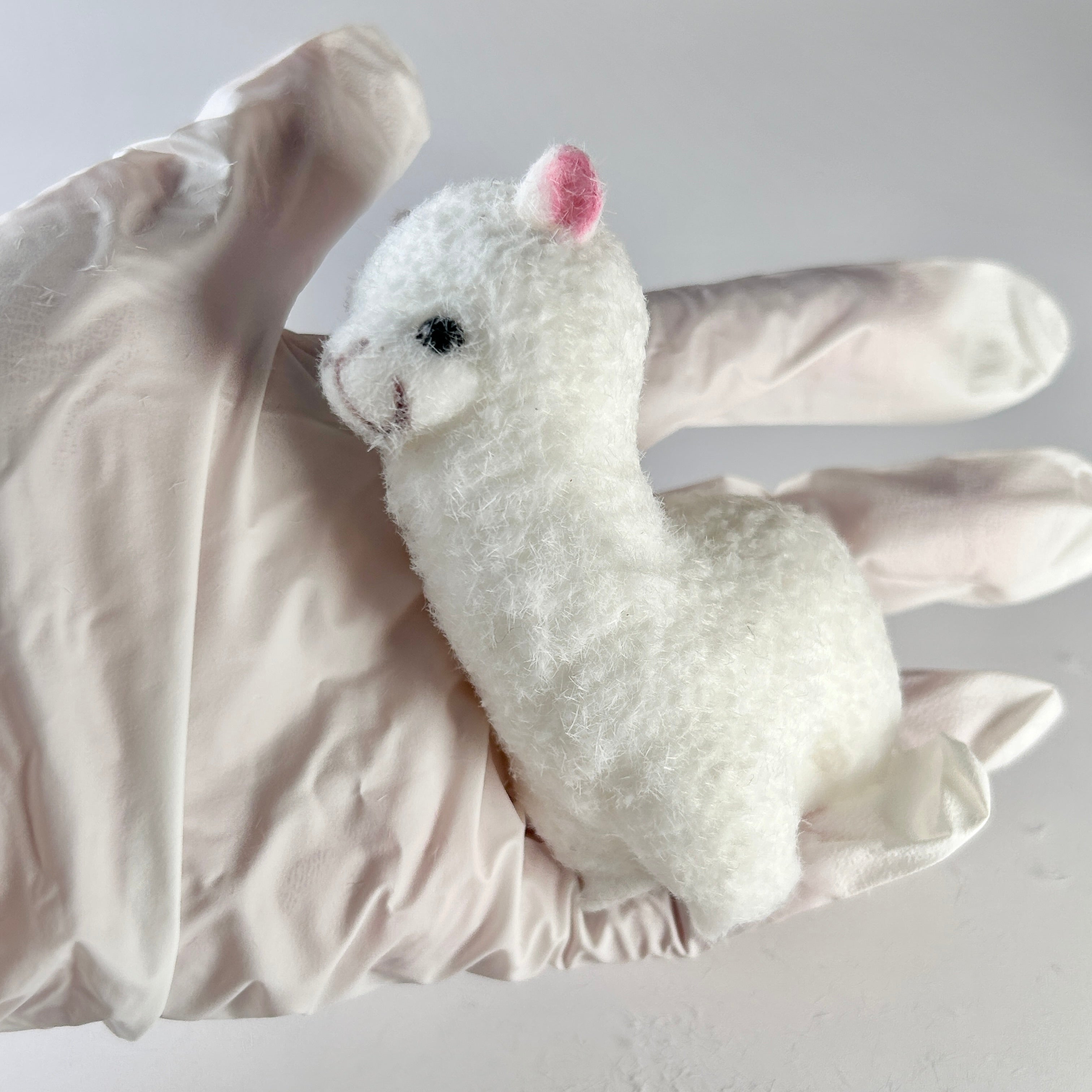 Alpaca Llama Lamb Squishy Toy