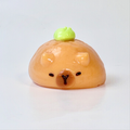 Capybara Head