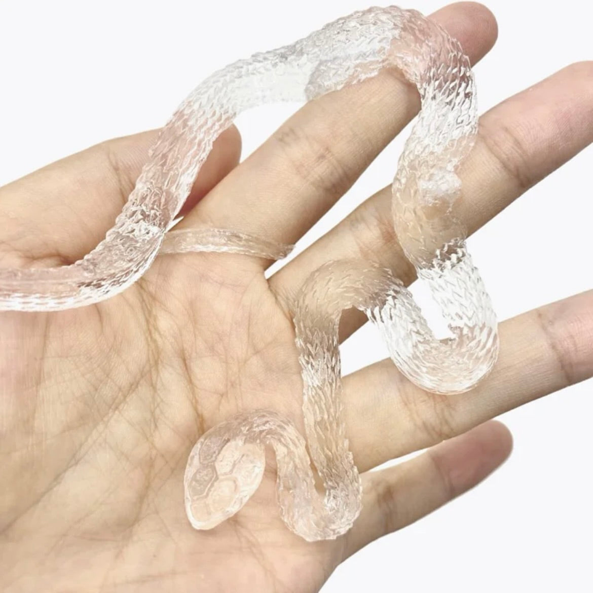 Transparent Snake Squishy Toy