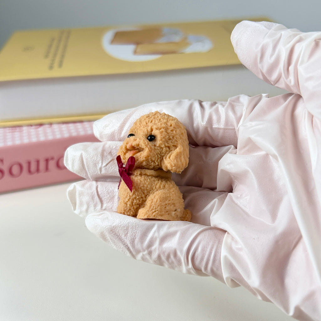 Mini Teddy Dog Squishy Toy