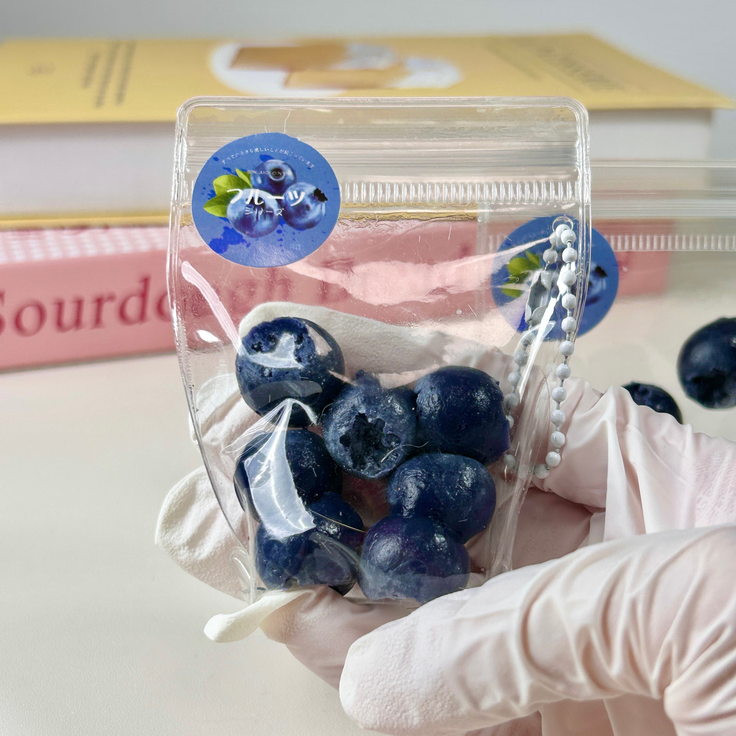 Blueberry Squishy Toy