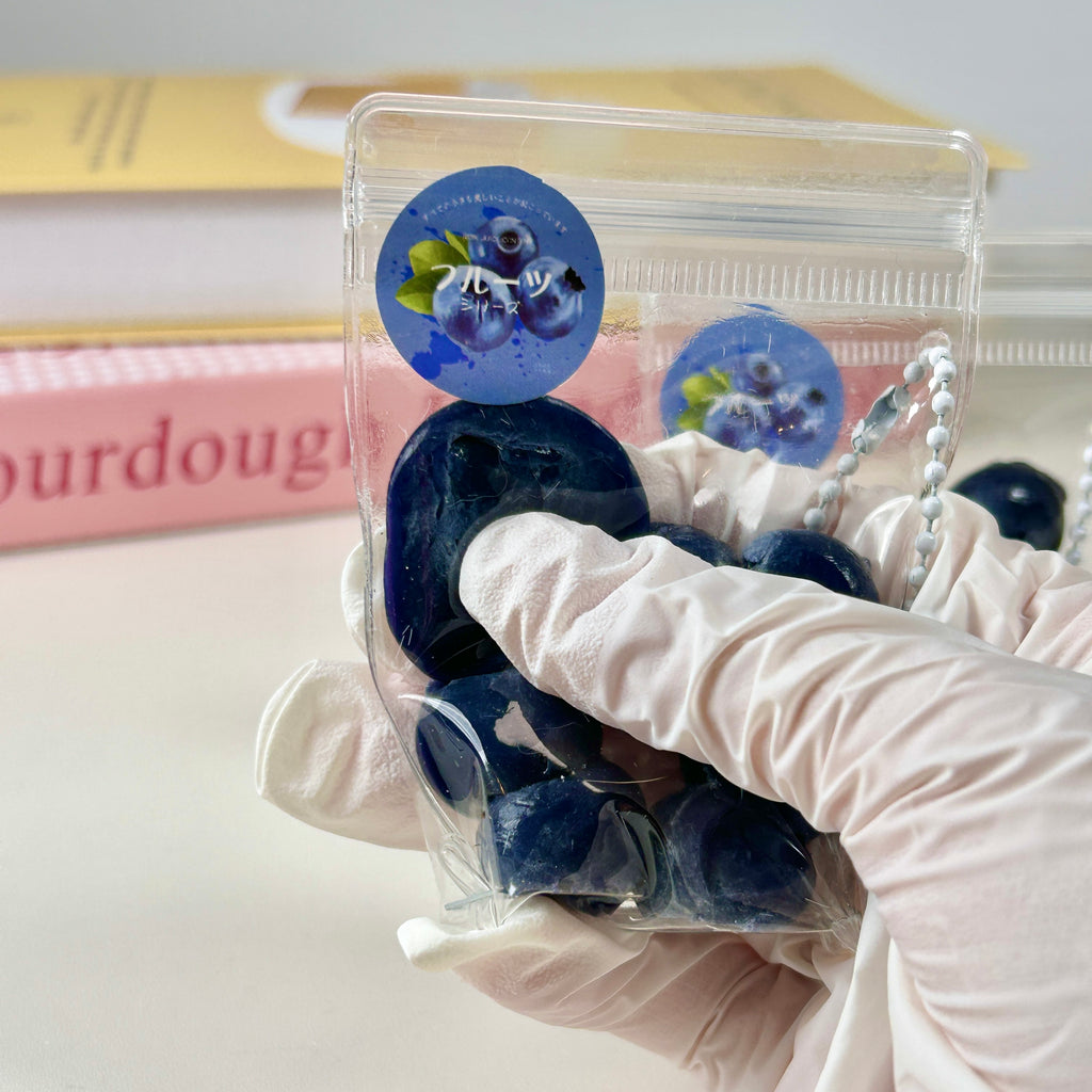 Blueberry Squishy Toy