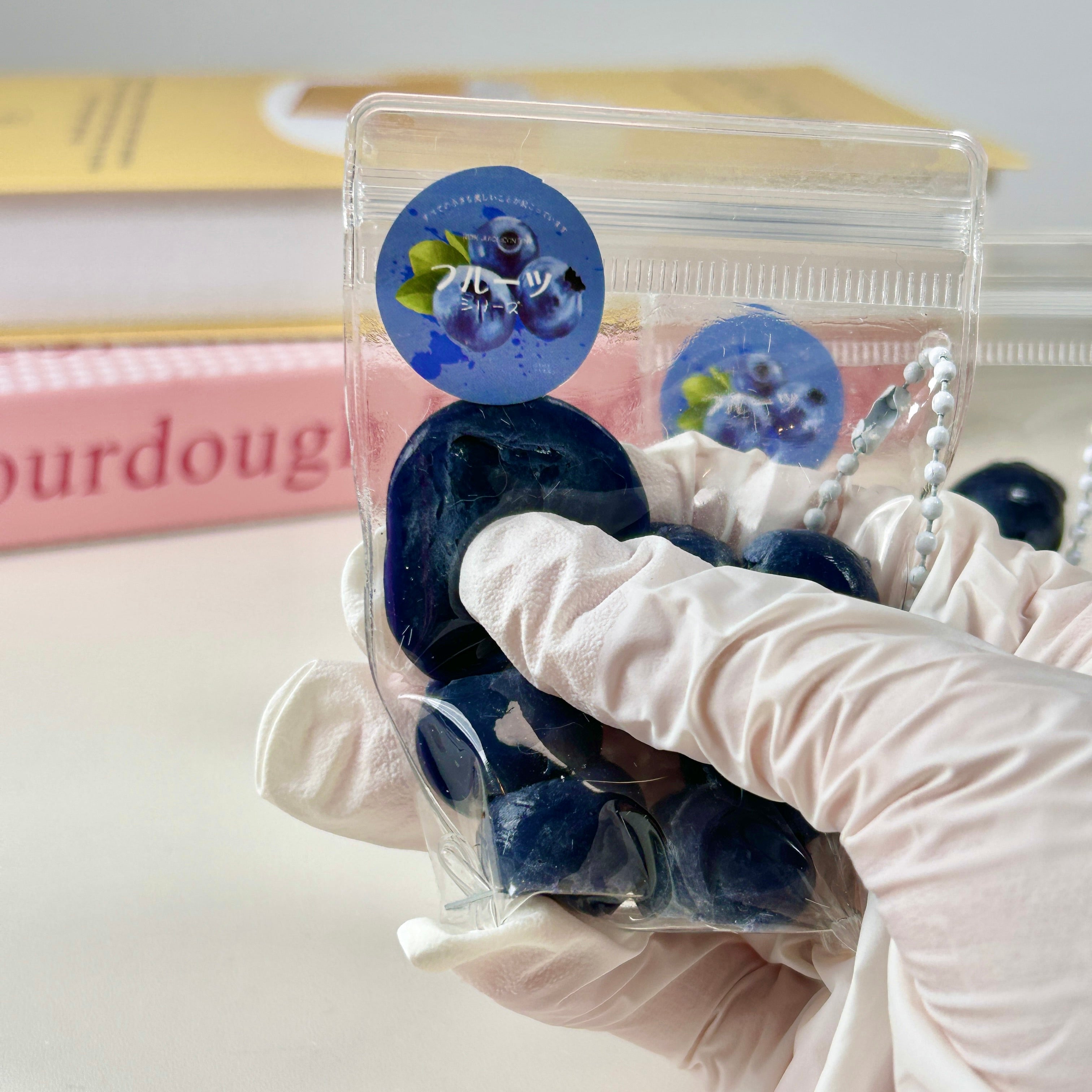 Blueberry Squishy Toy