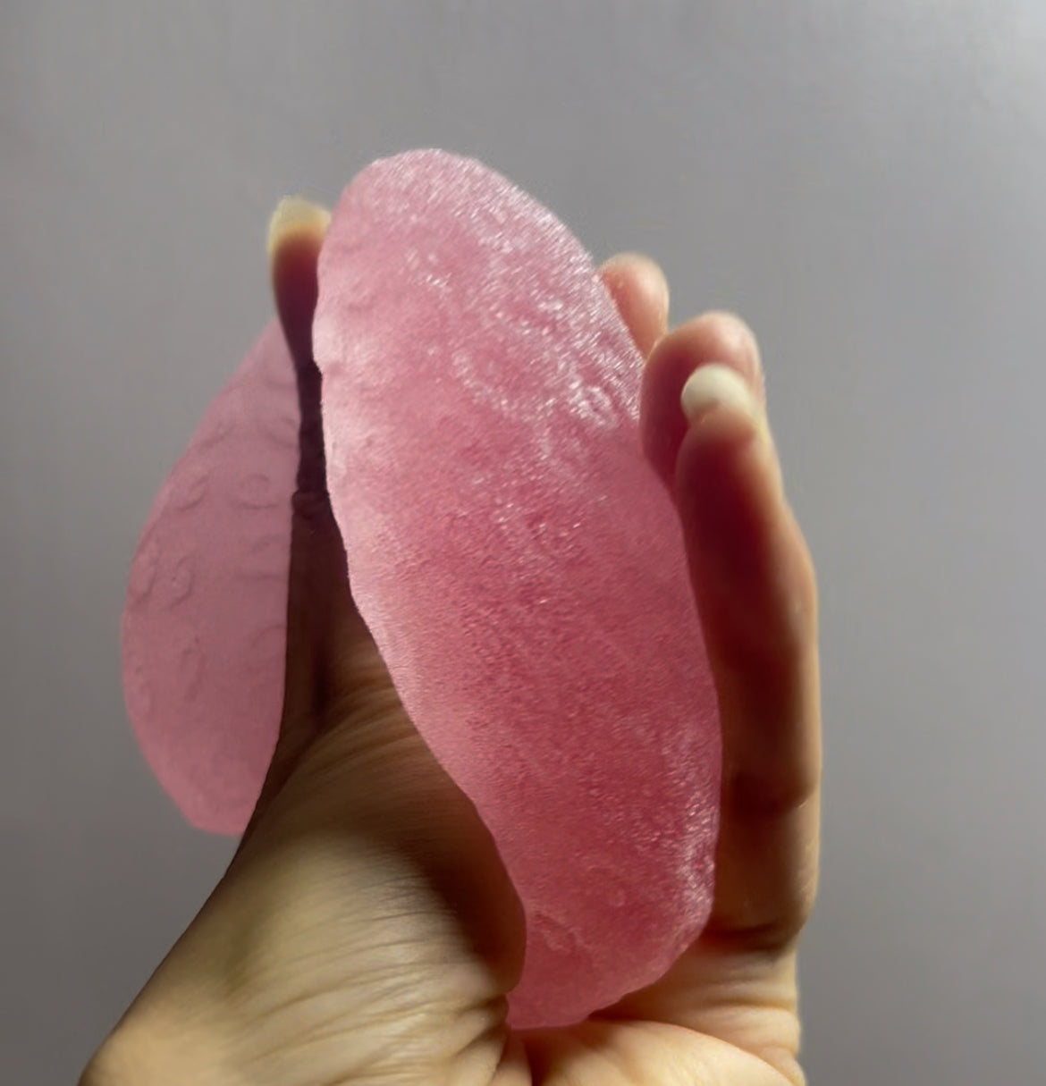 Big Strawberry Squishy Toy