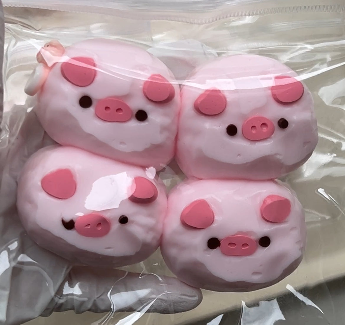 Piggy Head Squishy Toy