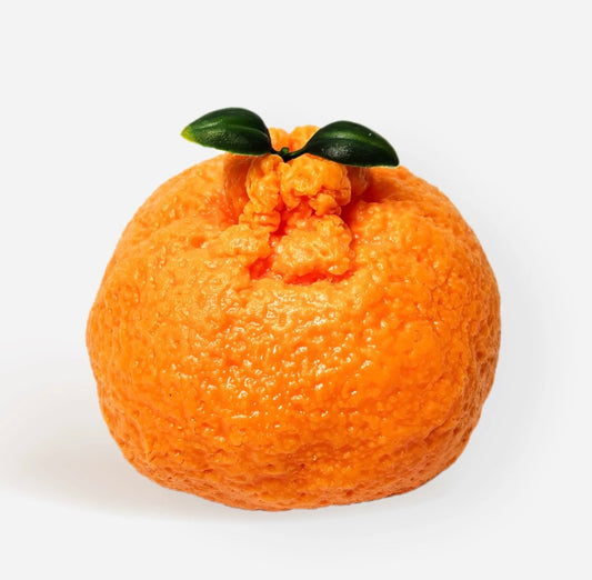 Citrus Orange Squishy Toy