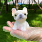 French Bulldog Puppy Squishy Toy