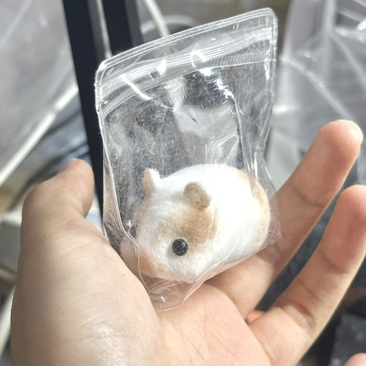 Mini Guinea Pig Squishy Toy