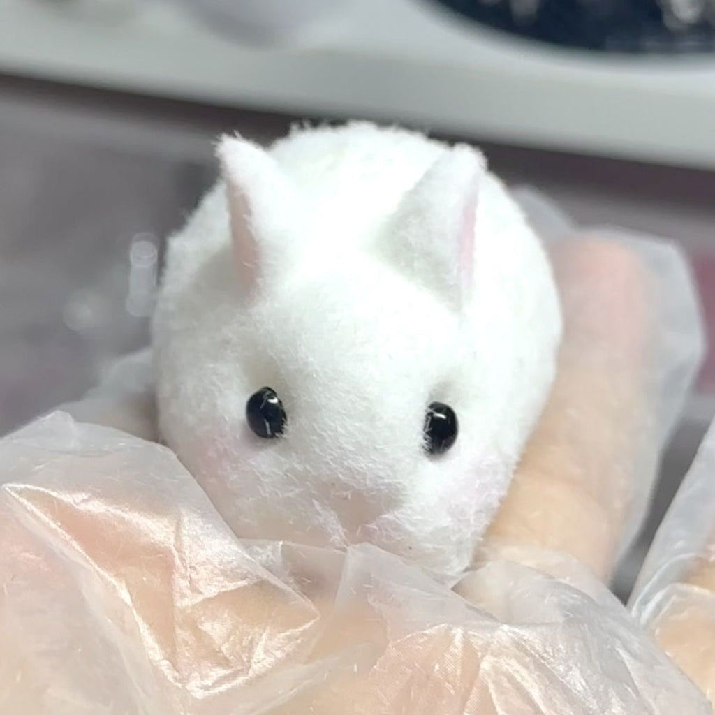 Mini Bunny Squishy Toy