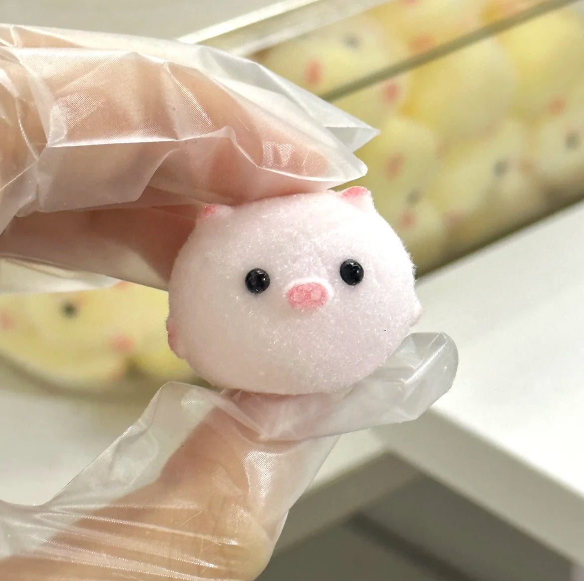 Mini Piggy Squishy Toy