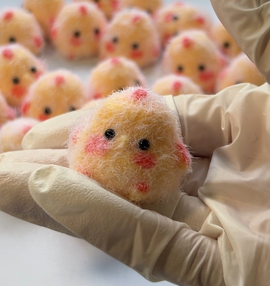 Mini Chick Squishy Toy