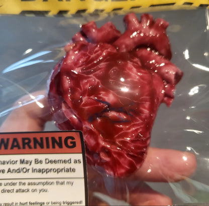 Realistic Heart Squishy Toy