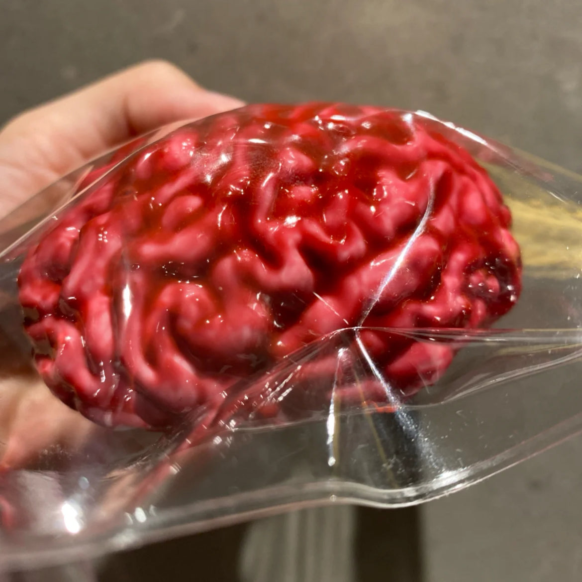 Halloween Super Big Realistic Brain Squishy Toy