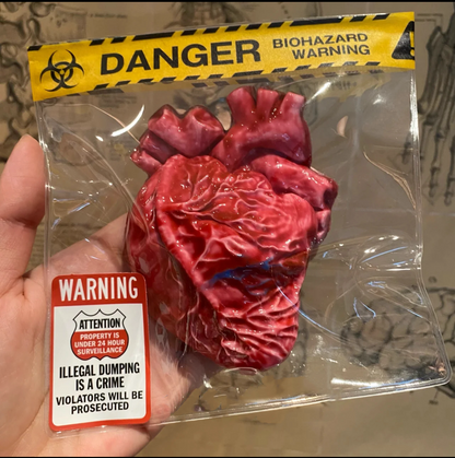 Realistic Heart Squishy Toy