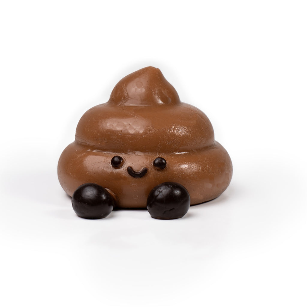 Poo-poo Squishy Toy